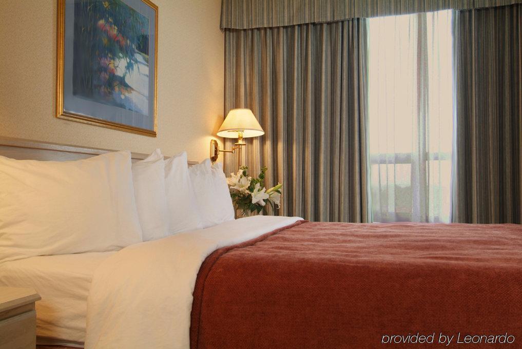 Comfort Suites London Zimmer foto